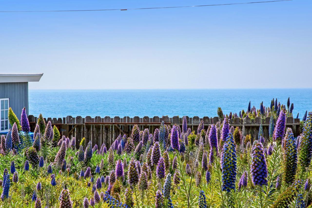 Cozy Carmet Cottage Bodega Bay Dış mekan fotoğraf